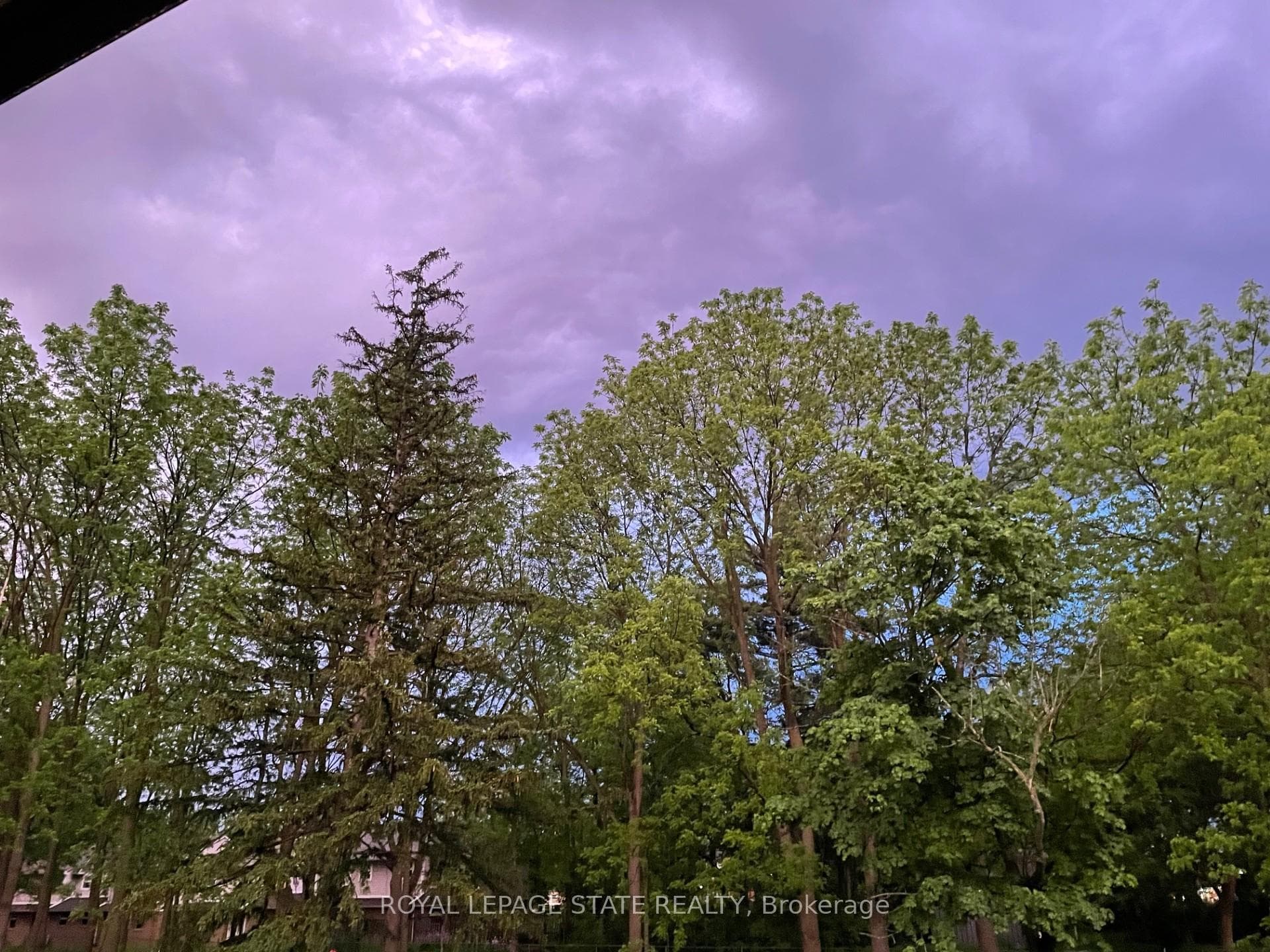 78 Toulon Avenue photo 34