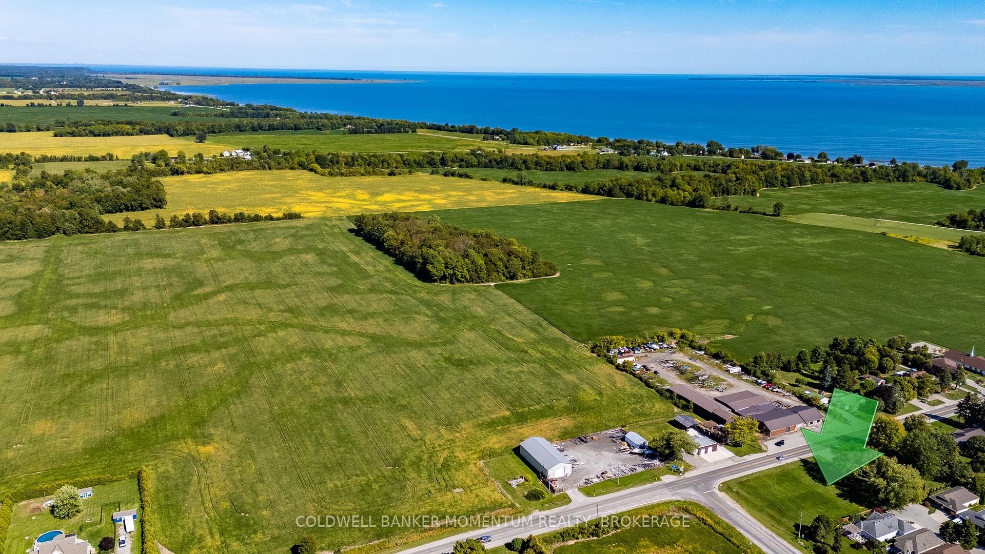 1179 BAY Street photo 4