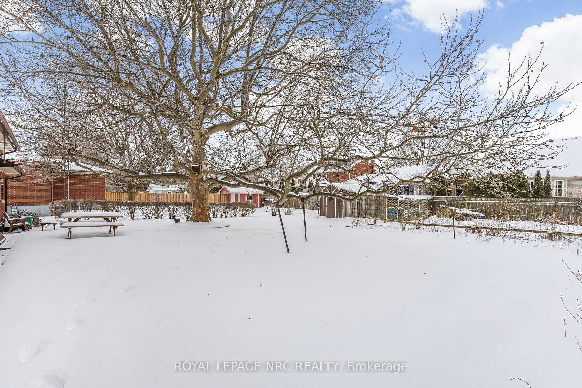 View of backyard from house. Pool sized yard!