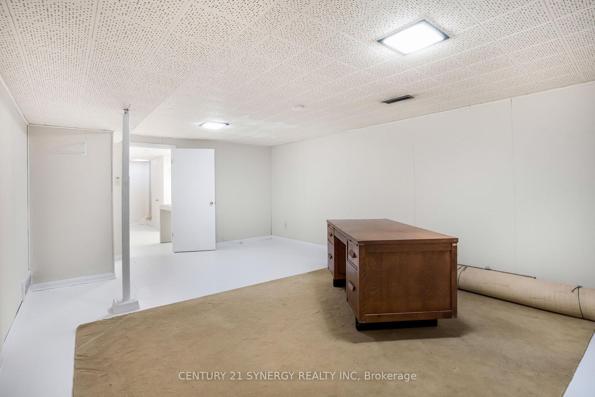 Basement Recreation Room