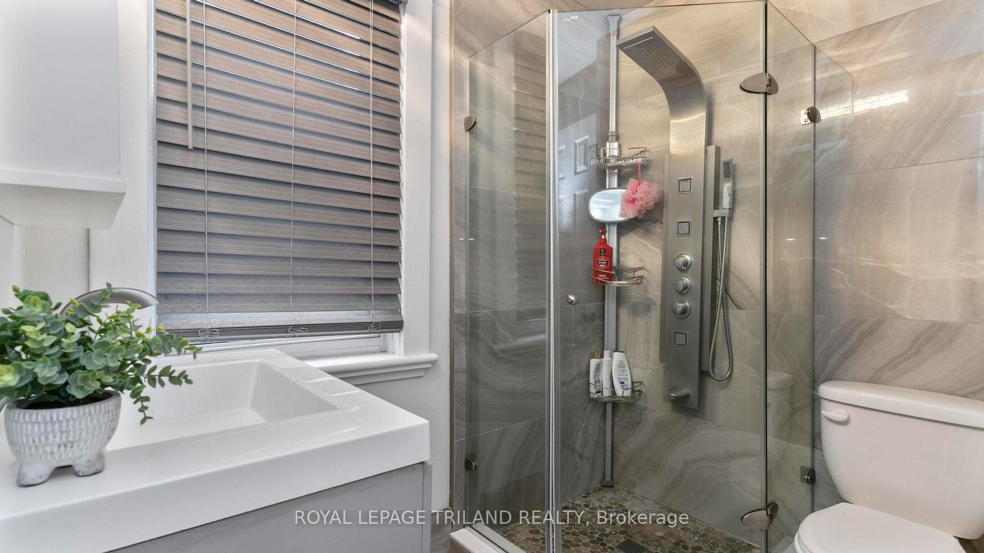 41 GUNN Street photo 13