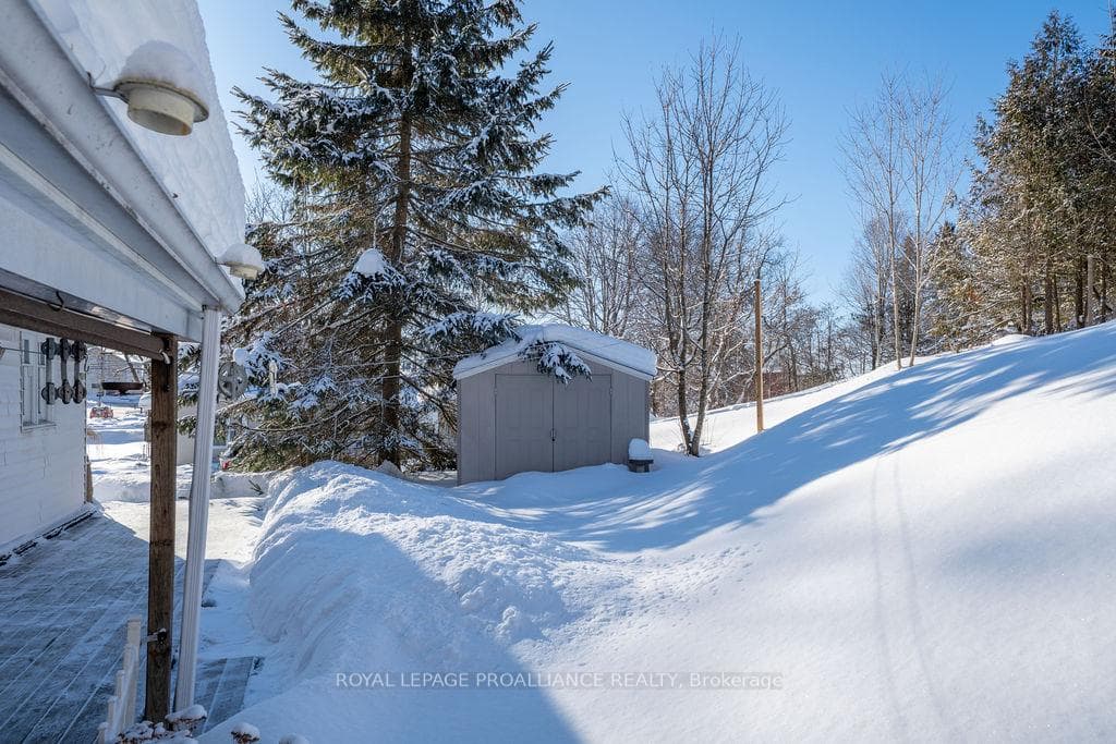 40 Davidson Street photo 16