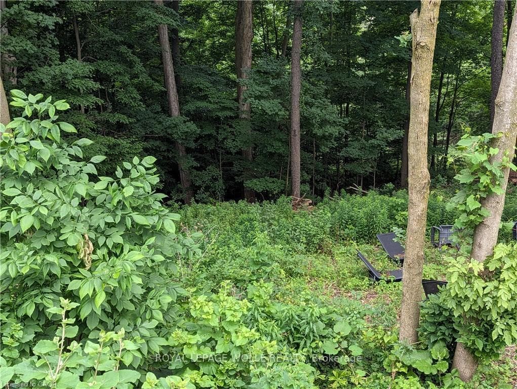 355 Edgehill Drive photo 29