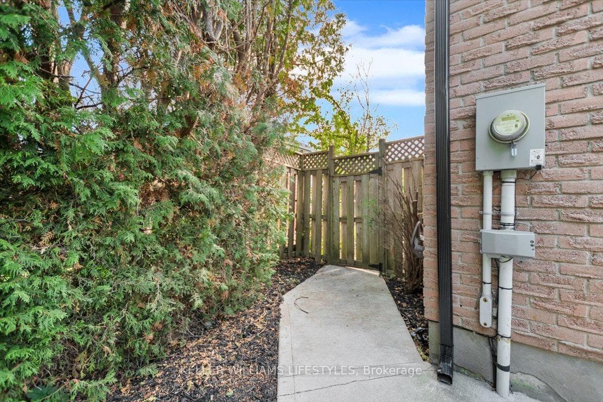 Backyard/Side entrance