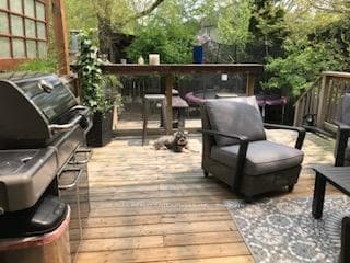 Summer Picture Backyard