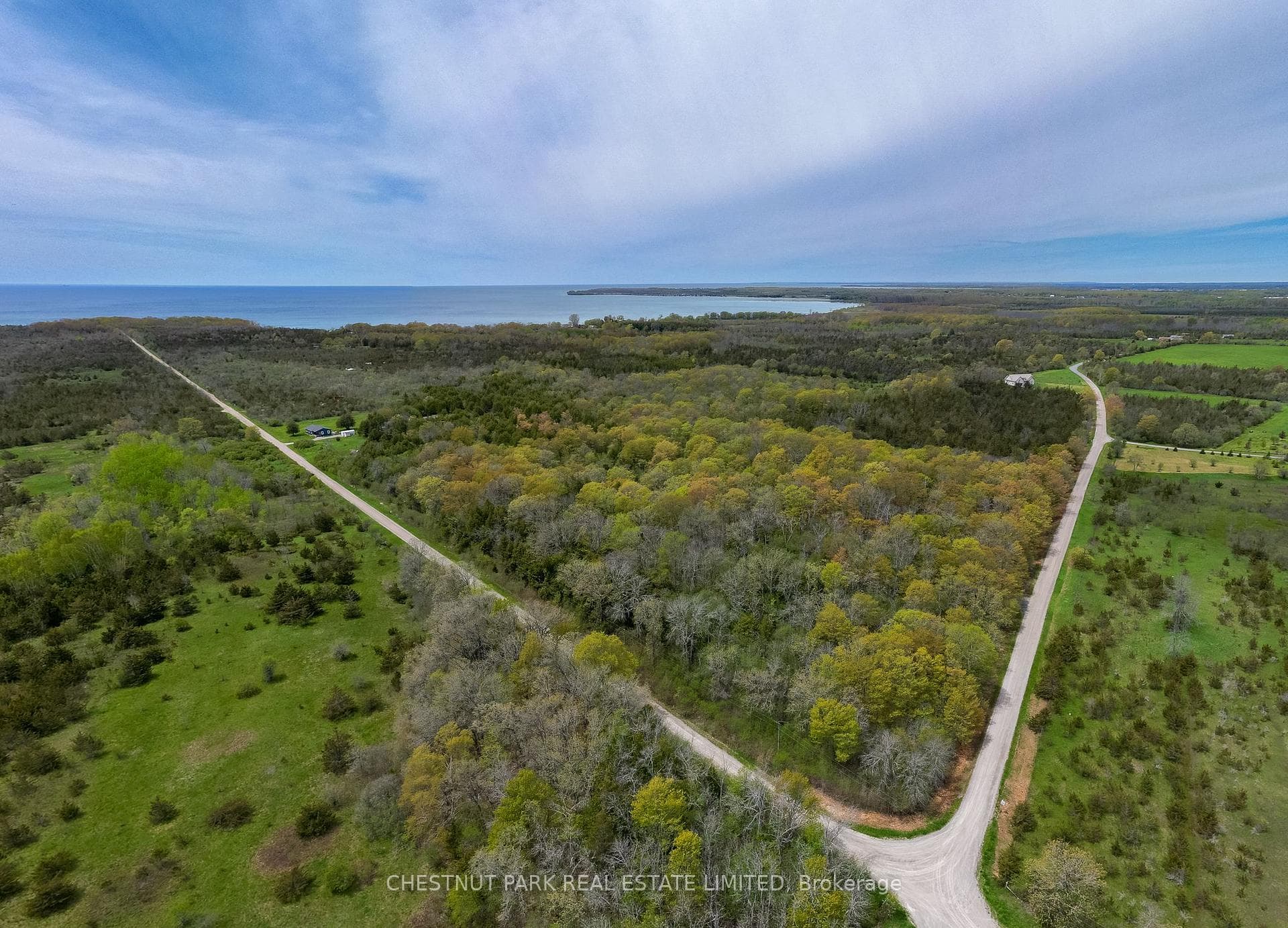 206 Simpson Road photo 2