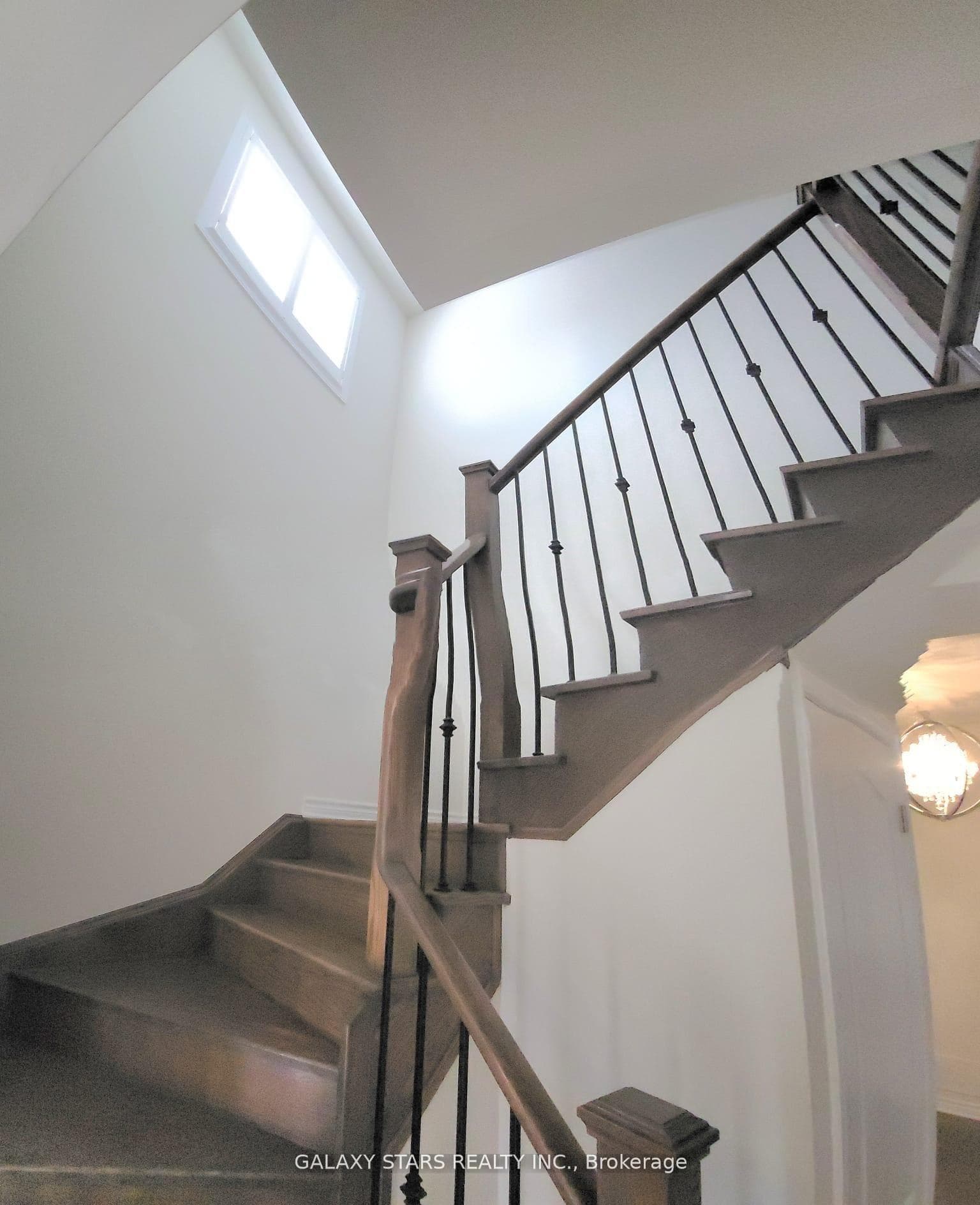 6 Stoddart Street photo 16