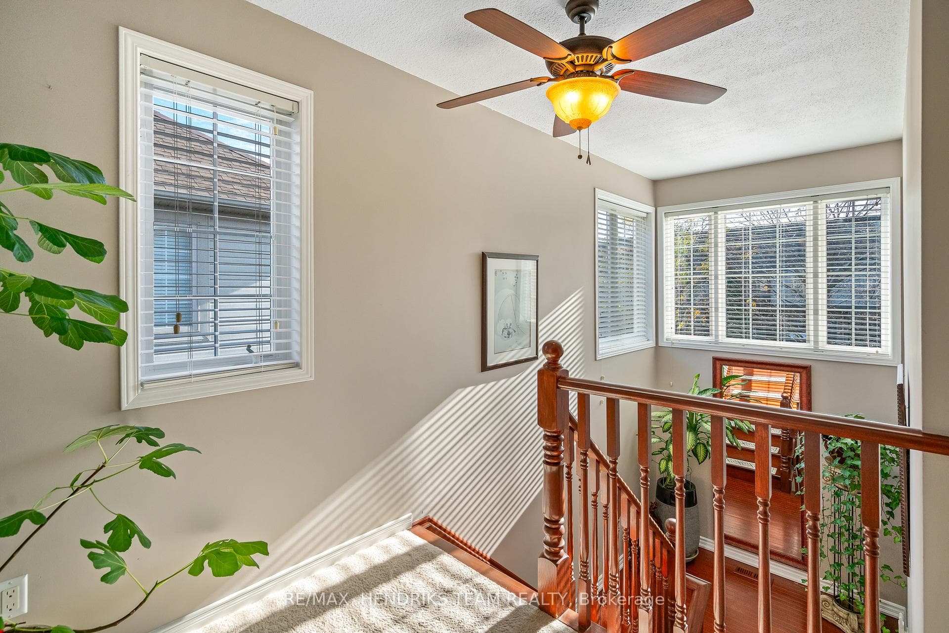 28 Elderberry Avenue photo 16