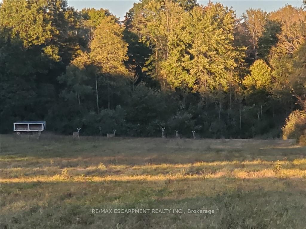 8151 Hwy 3 N/A photo 39