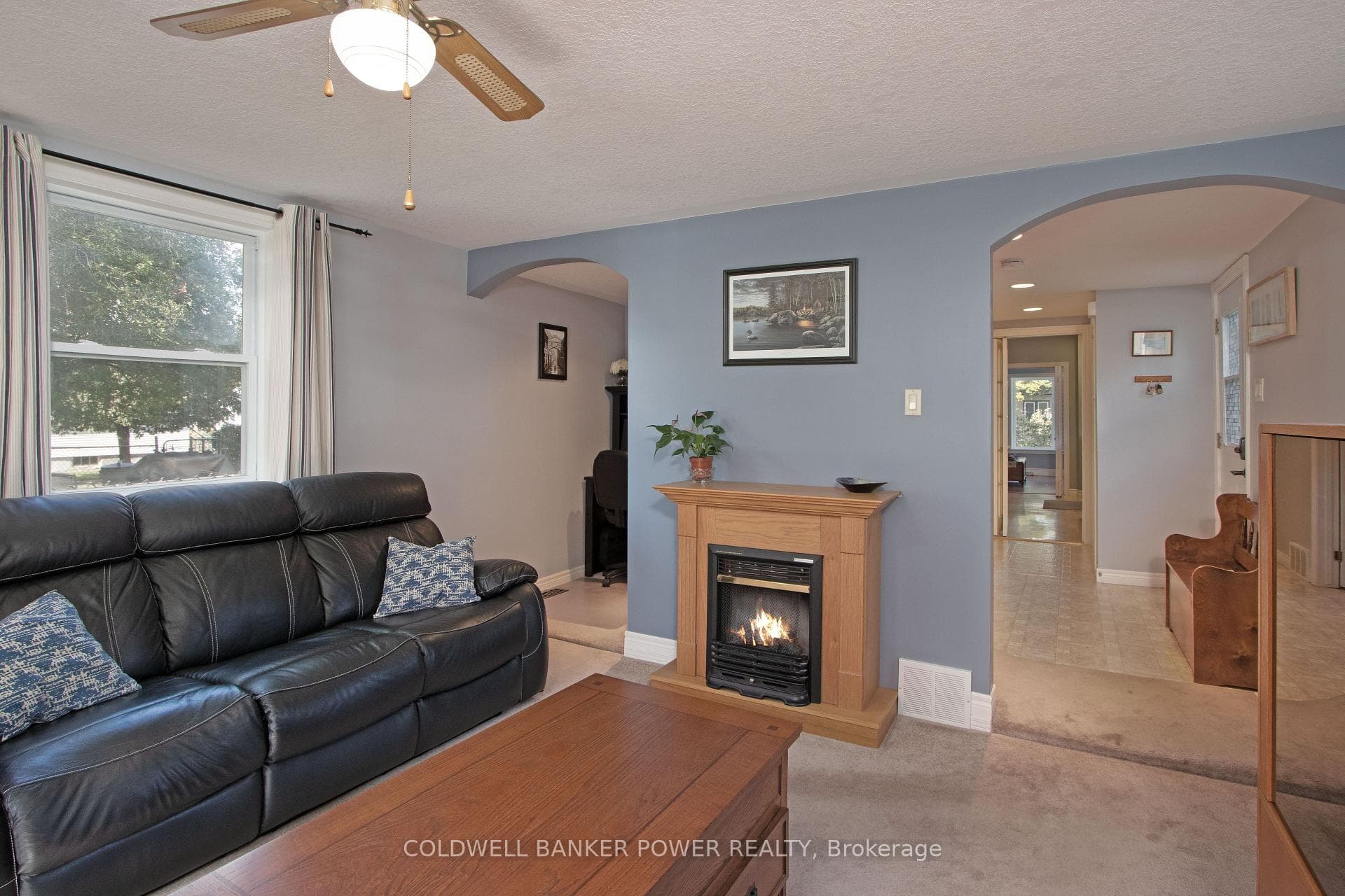 17 BRISCOE Street photo 6