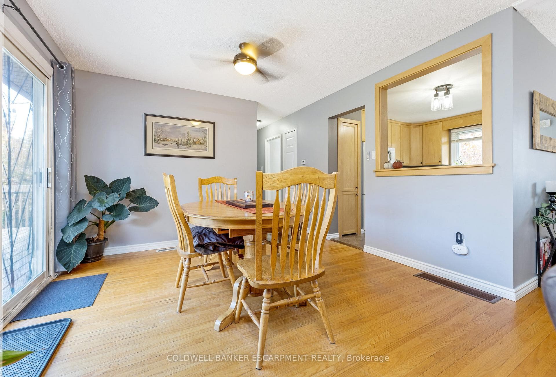 23 Ellen Crescent photo 8
