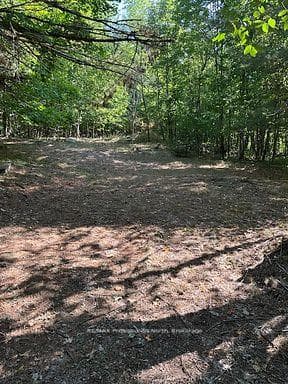 2875 County Road 21 Road photo 10