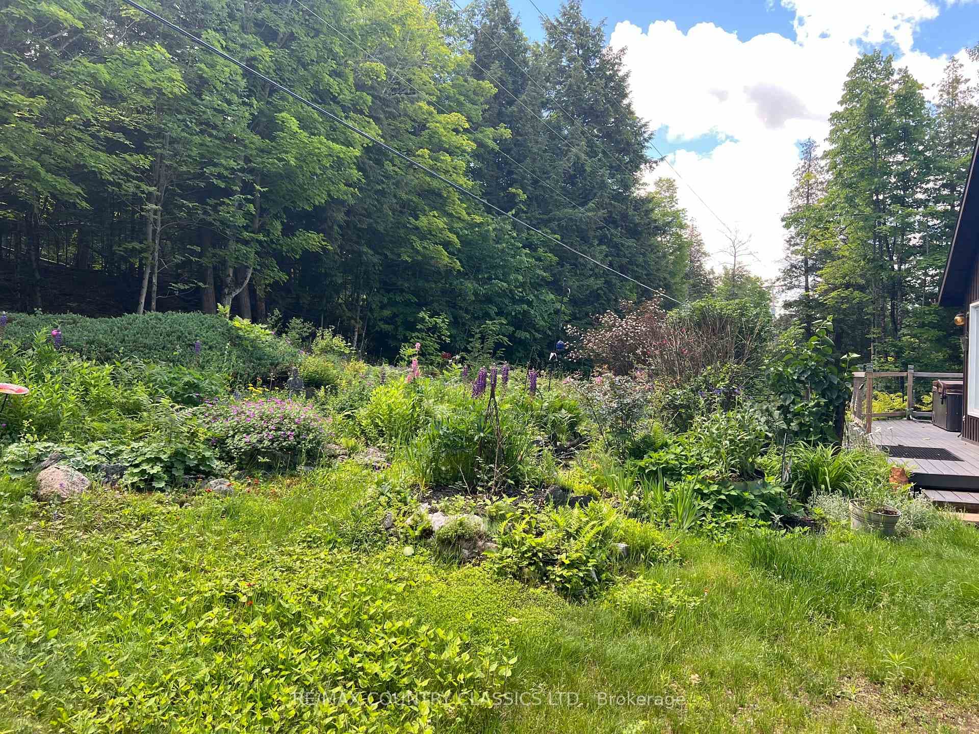 1322A Weslemkoon Lake Road photo 42