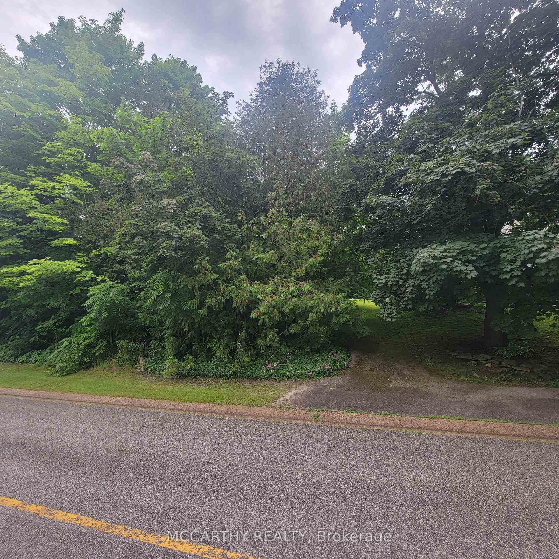 141 Mill Street photo 6