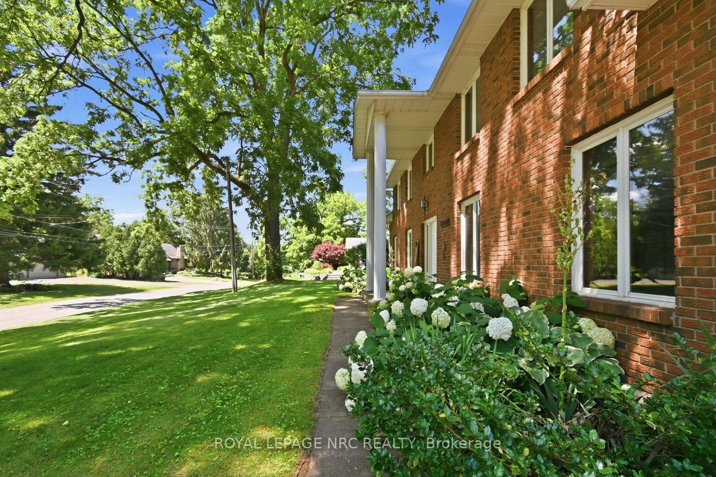 Front Yard