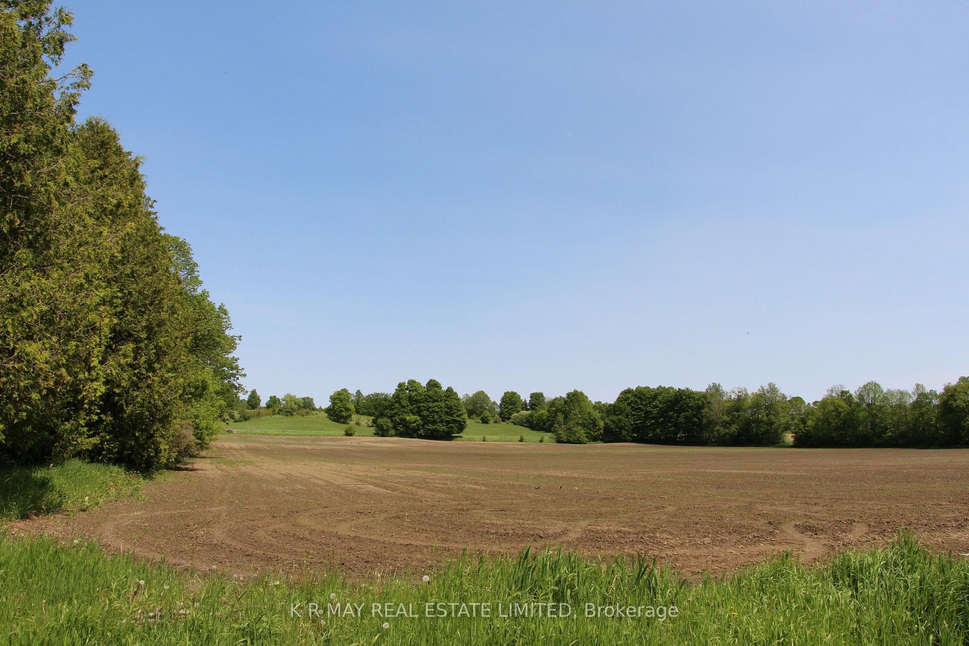 newly planted field
