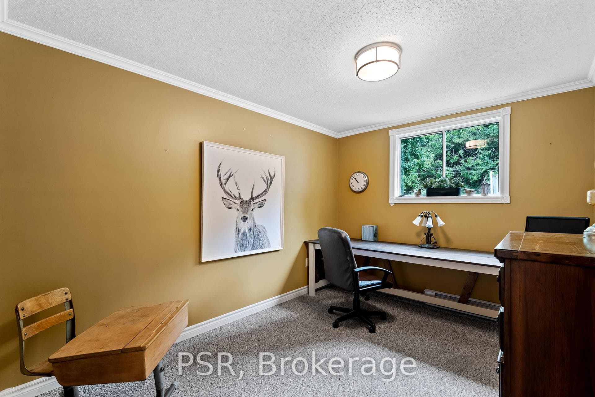 24 Colbourne Street photo 18