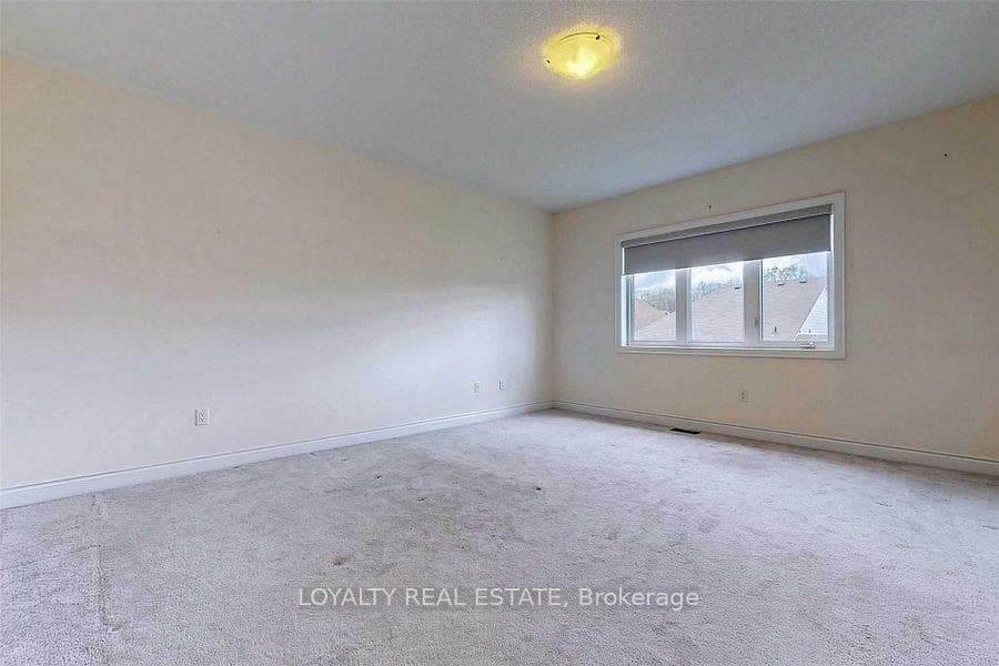 11 Mayapple Lane photo 30