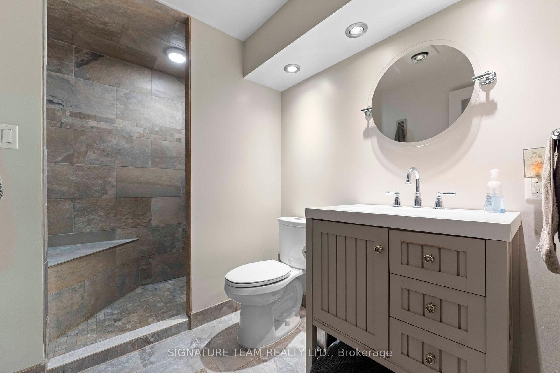 Lower level Bathroom