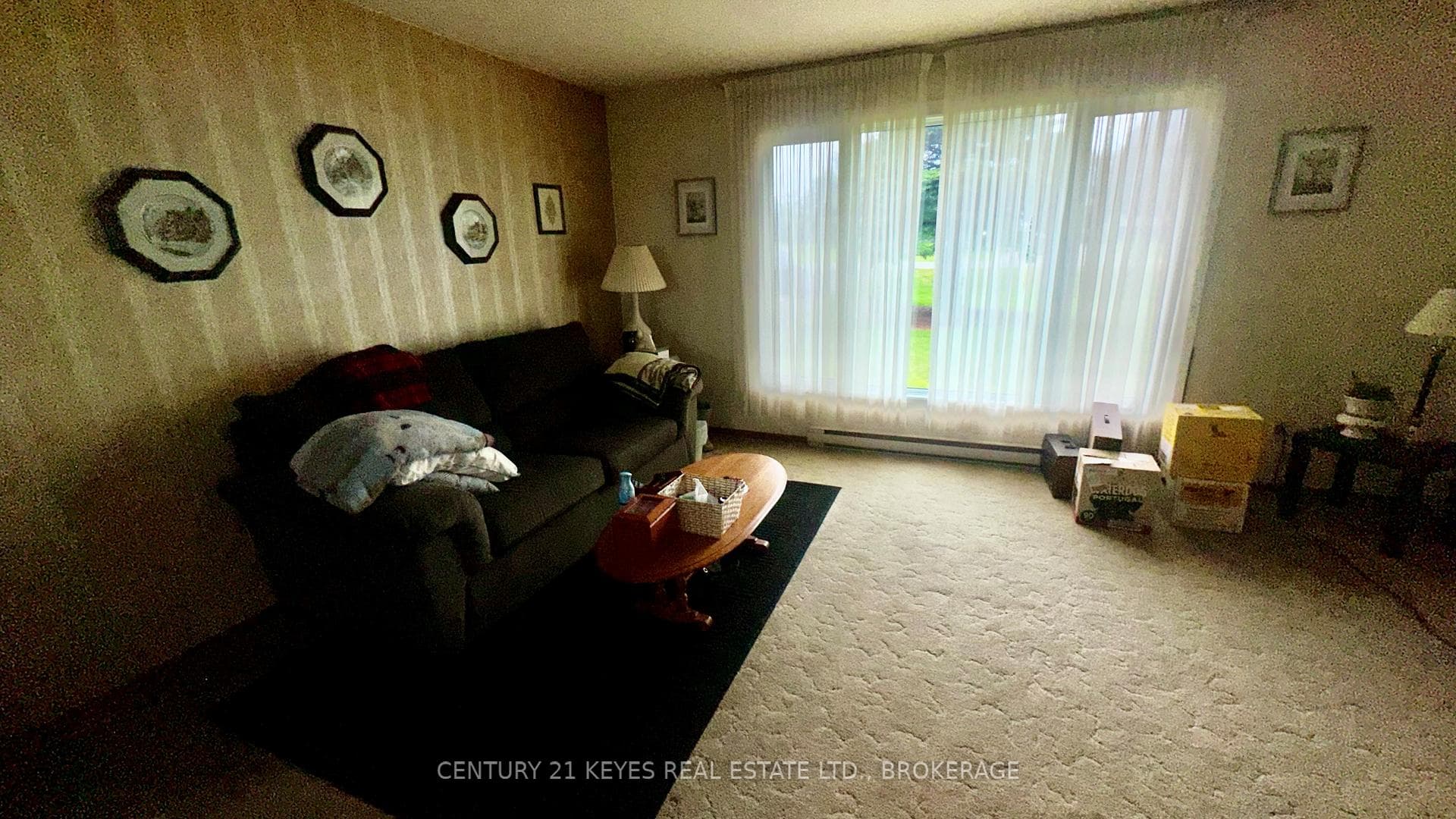 85 Haig Road photo 26