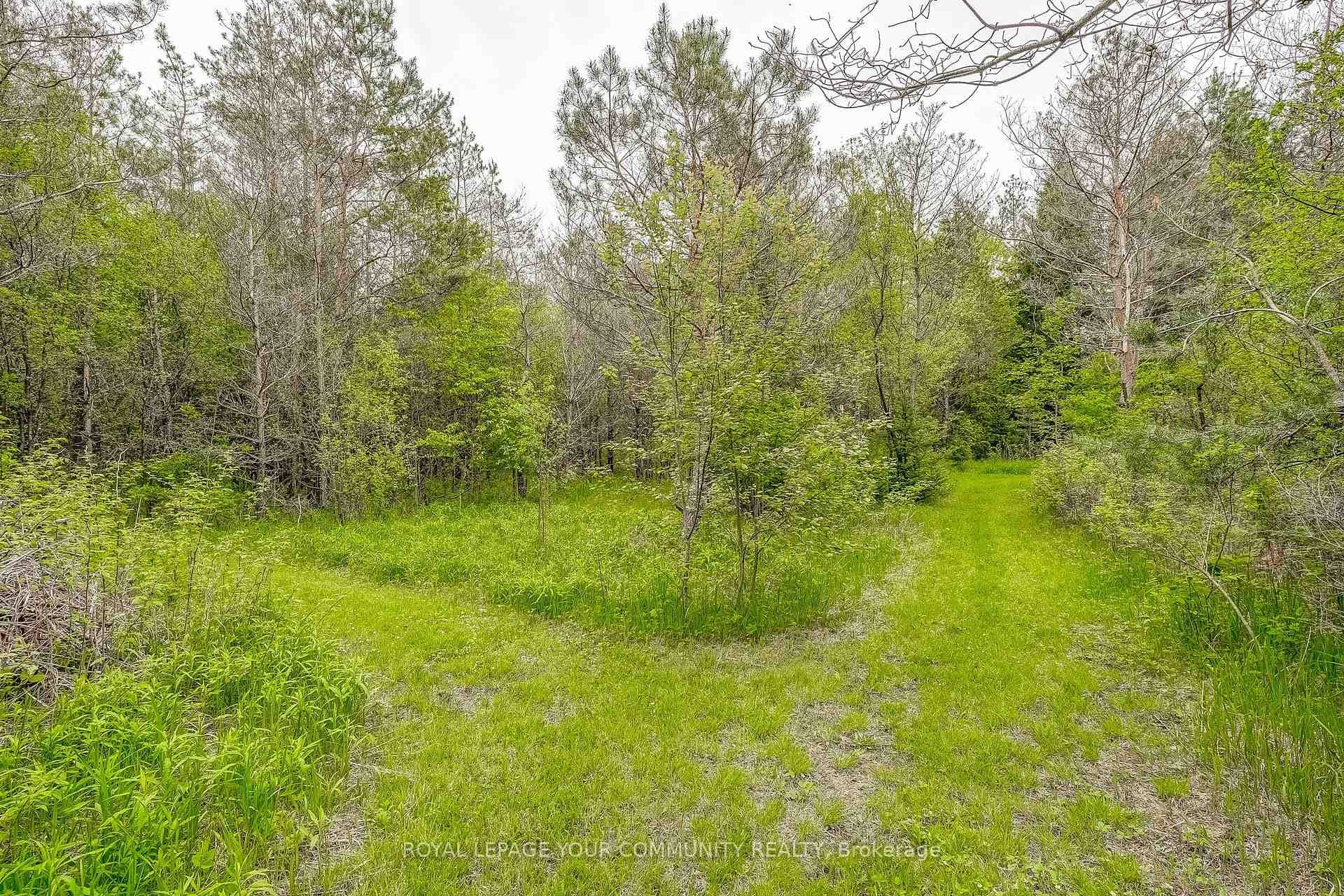 10085 Old Shiloh Road photo 29