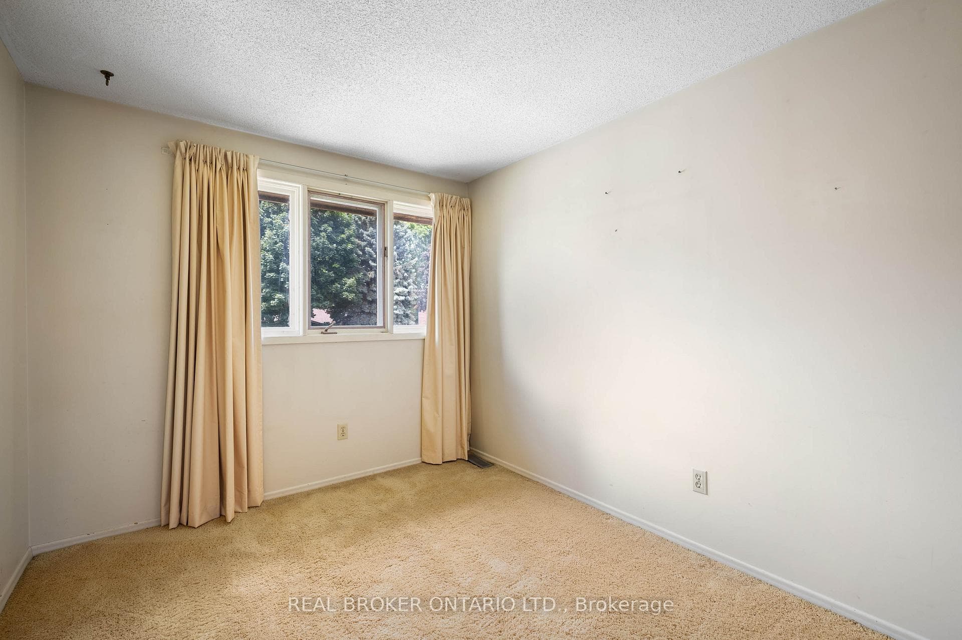 14 Briar Knoll Place photo 23