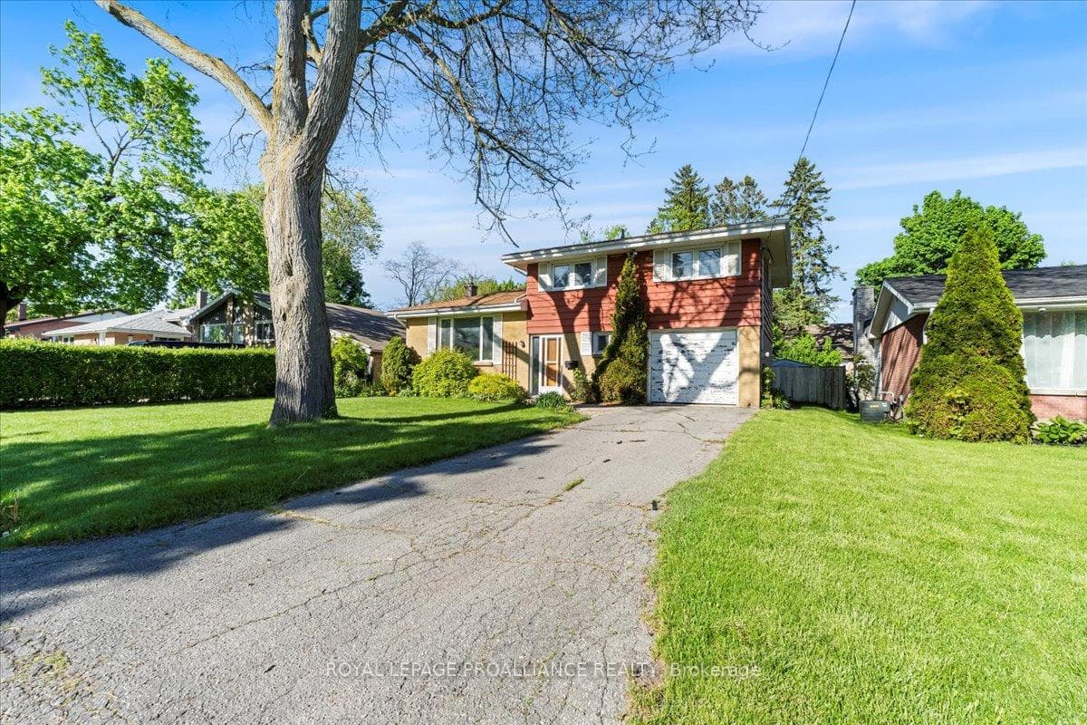 19 Alfred Drive photo 1