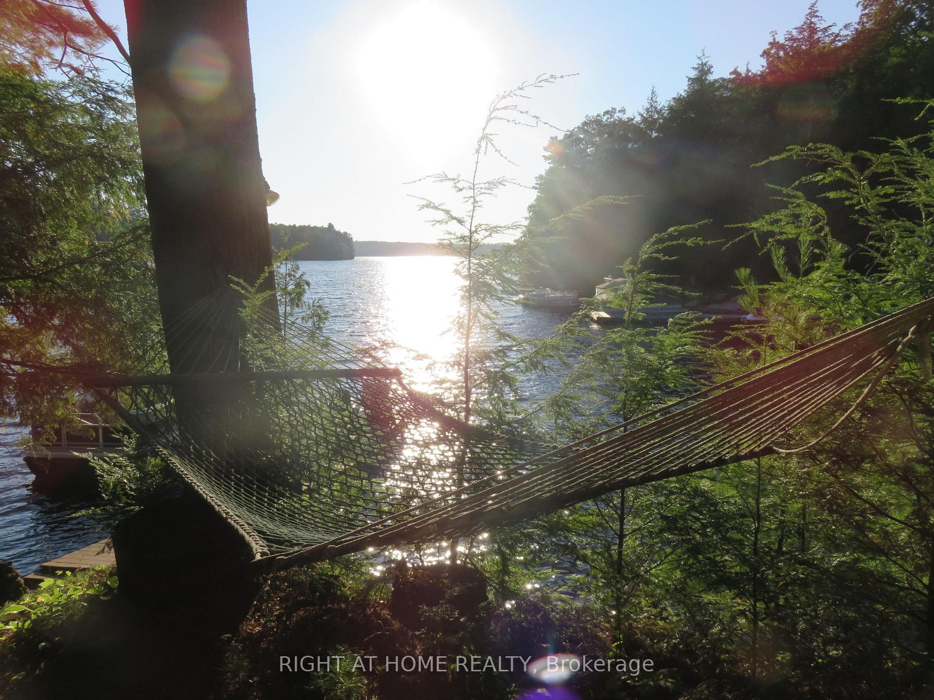 Hammock heaven...