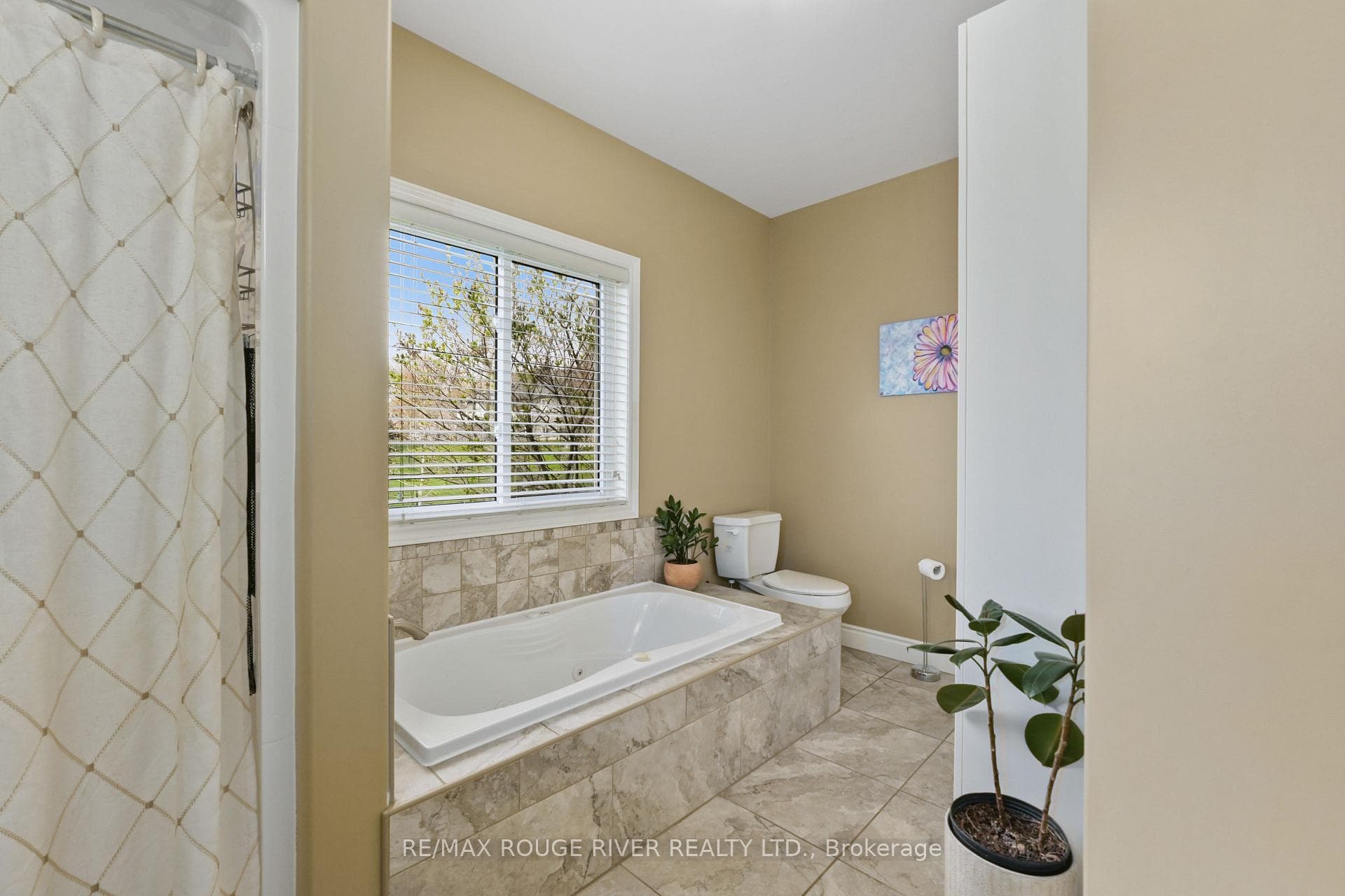 106 Pinnacle Street photo 34