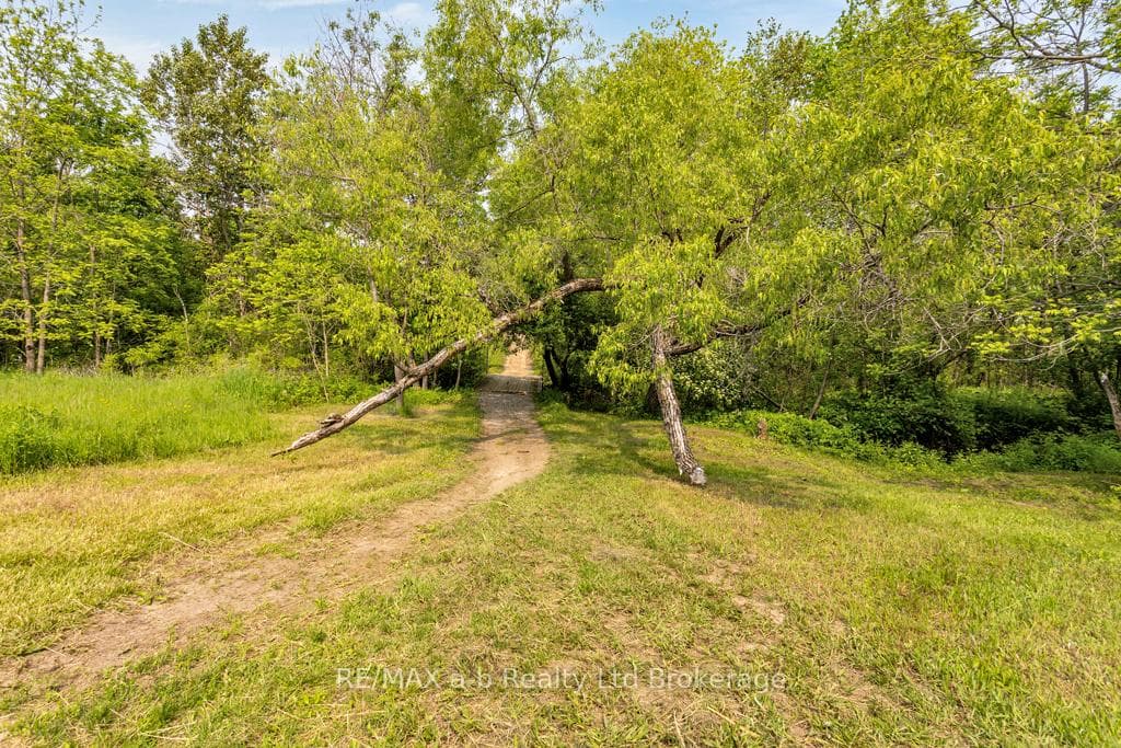 210 Beach Lane photo 28