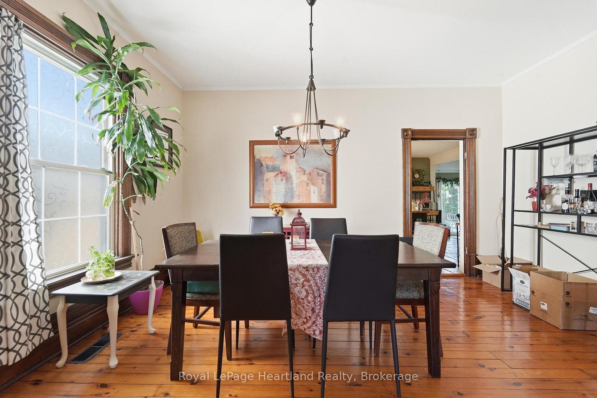 36 Trafalgar Street photo 14