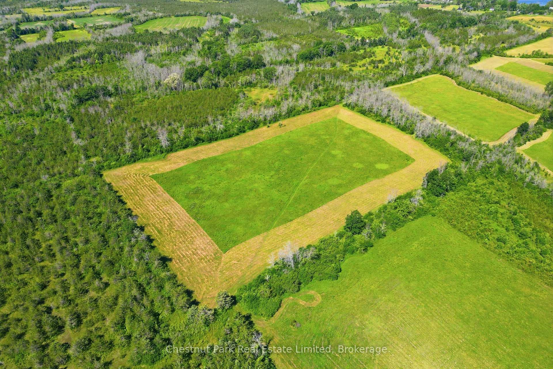 647 Helmer Road photo 30