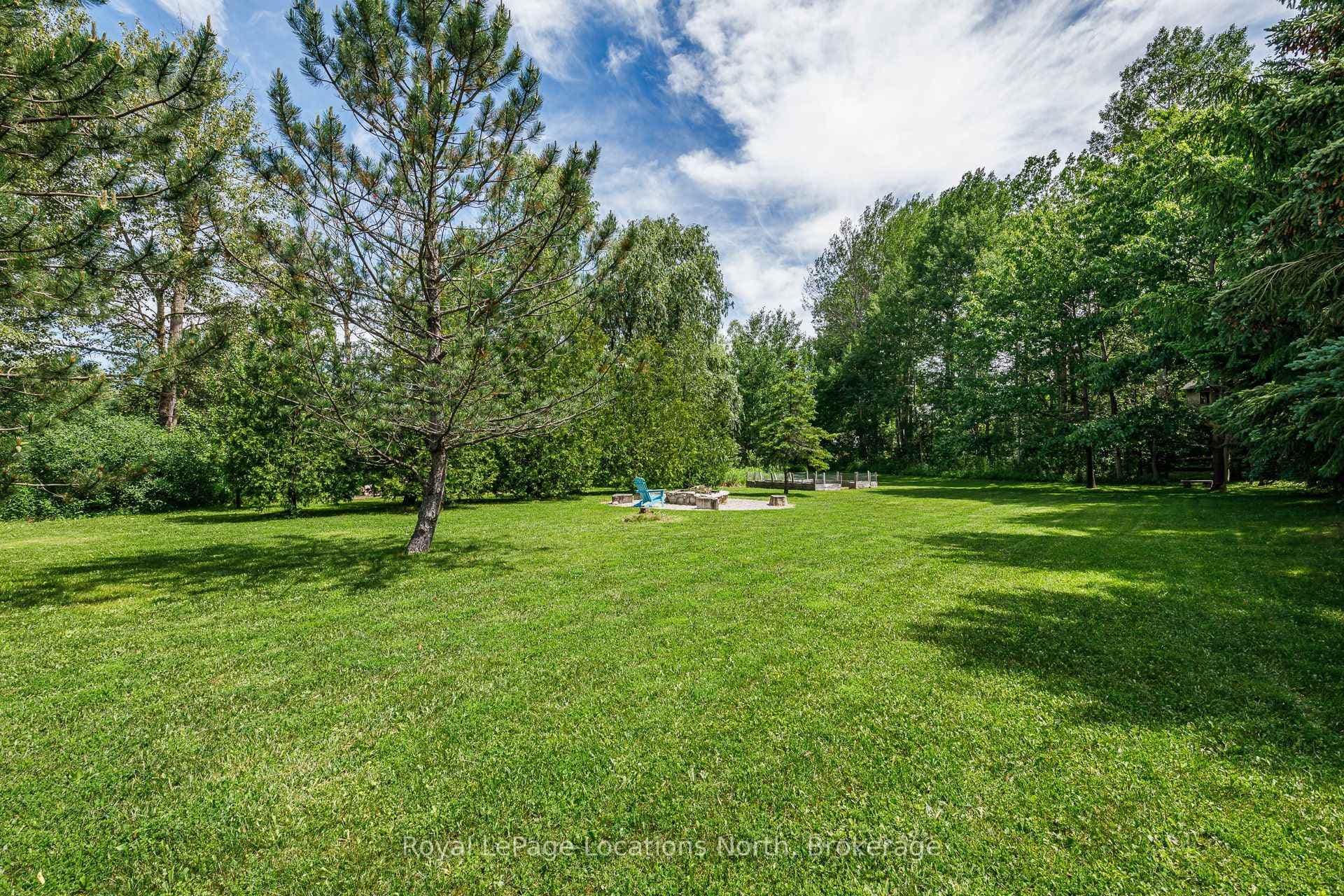 44 Blackburn Avenue photo 40