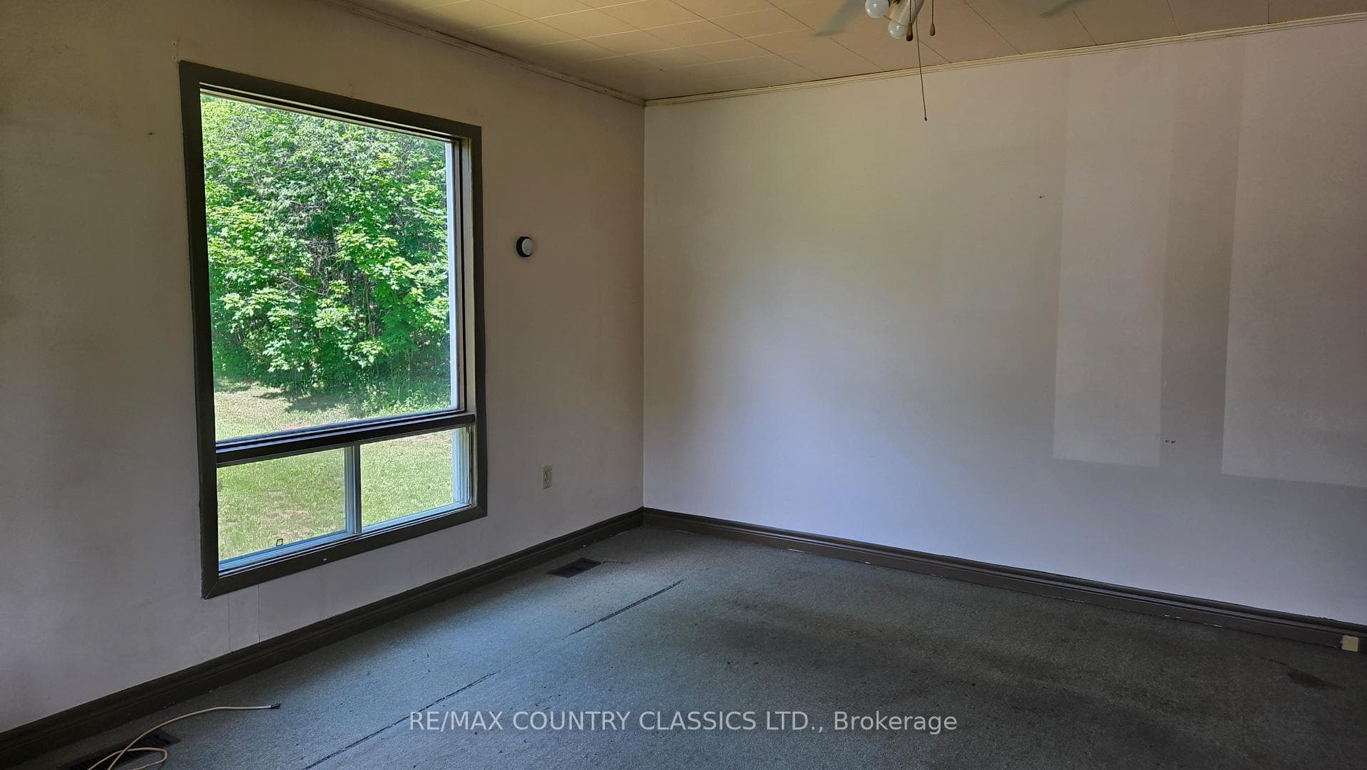 7118 Highway 620 N/A photo 4