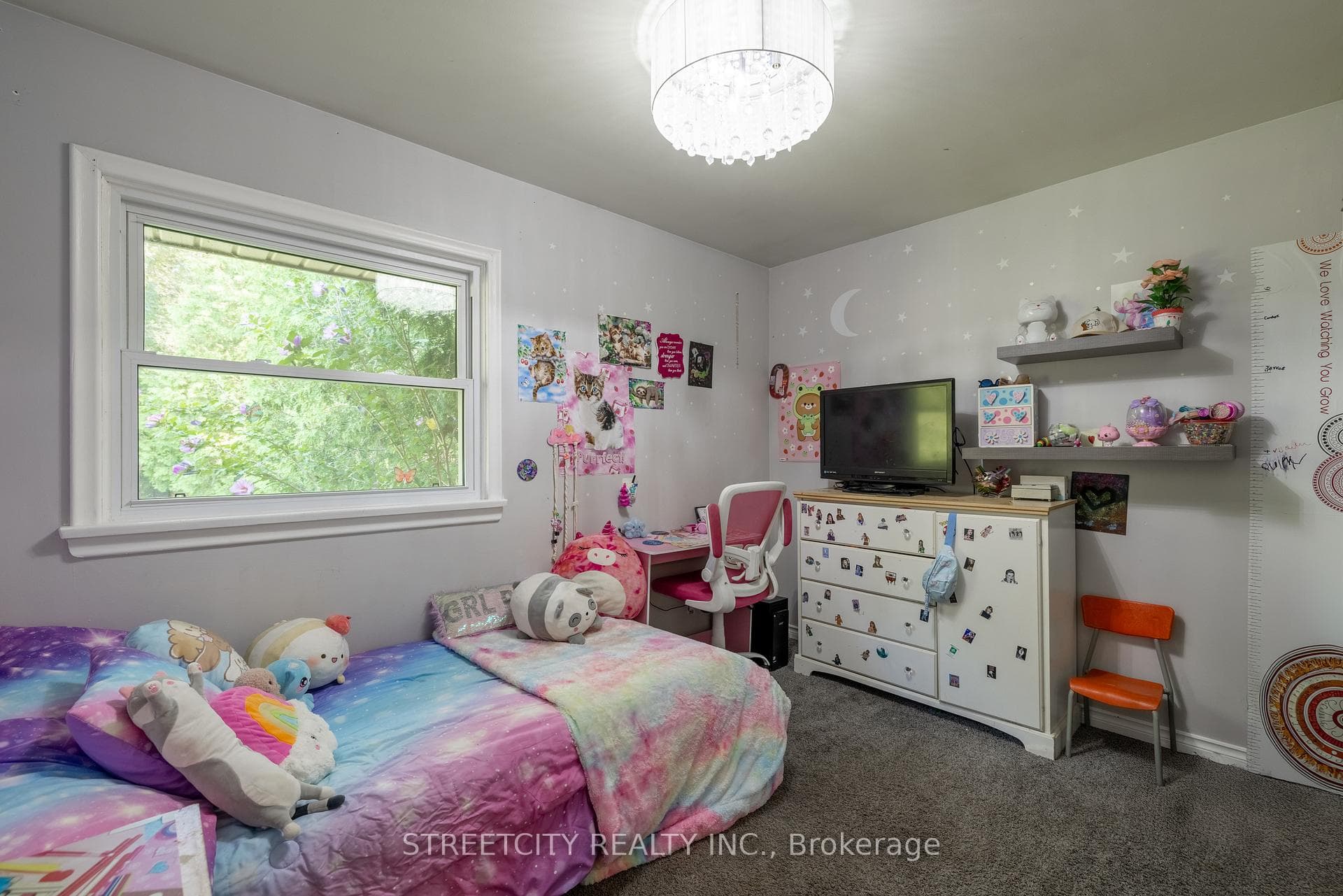 1682 Dale Street photo 17