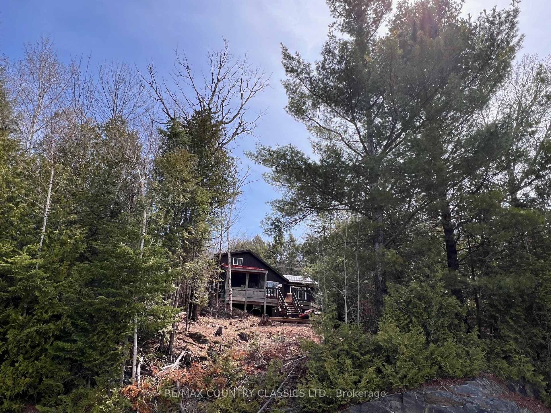 1322A Weslemkoon Lake Road photo 10