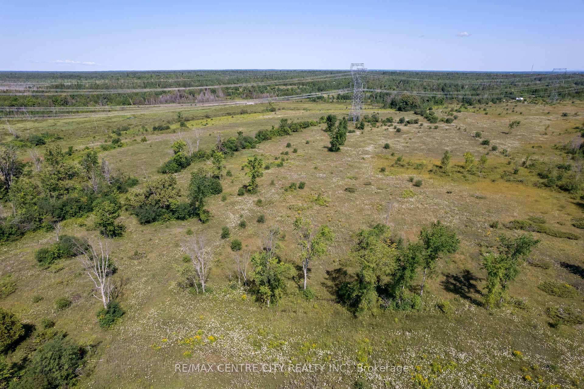 PT LT 26 Concession 8 Road photo 5