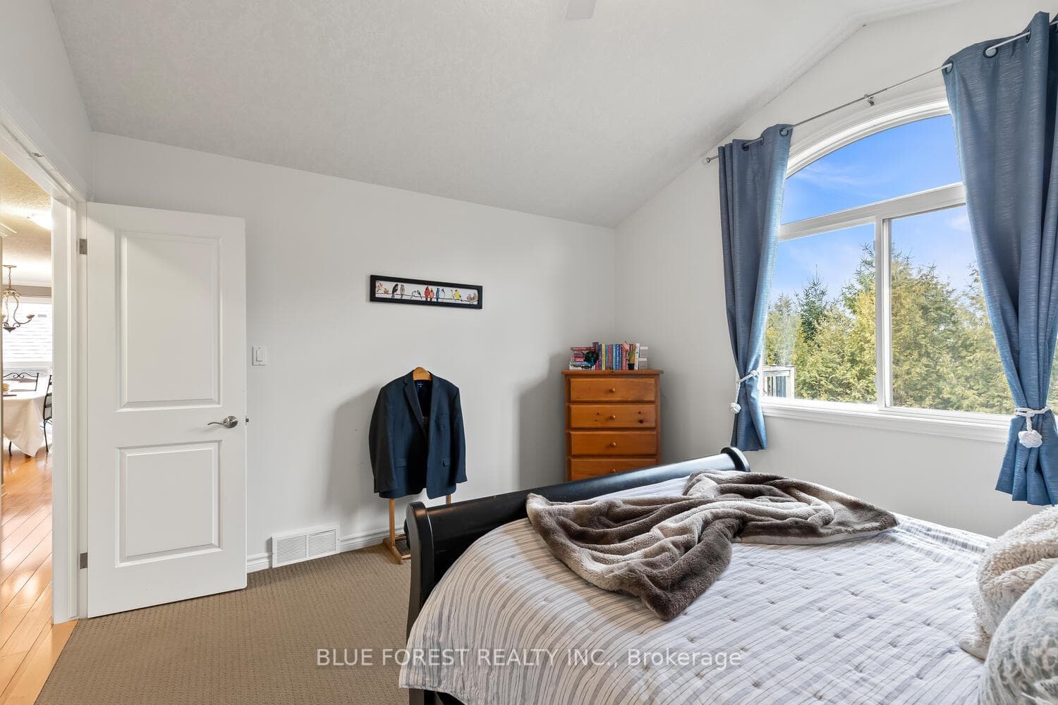 123 Watson Street photo 18