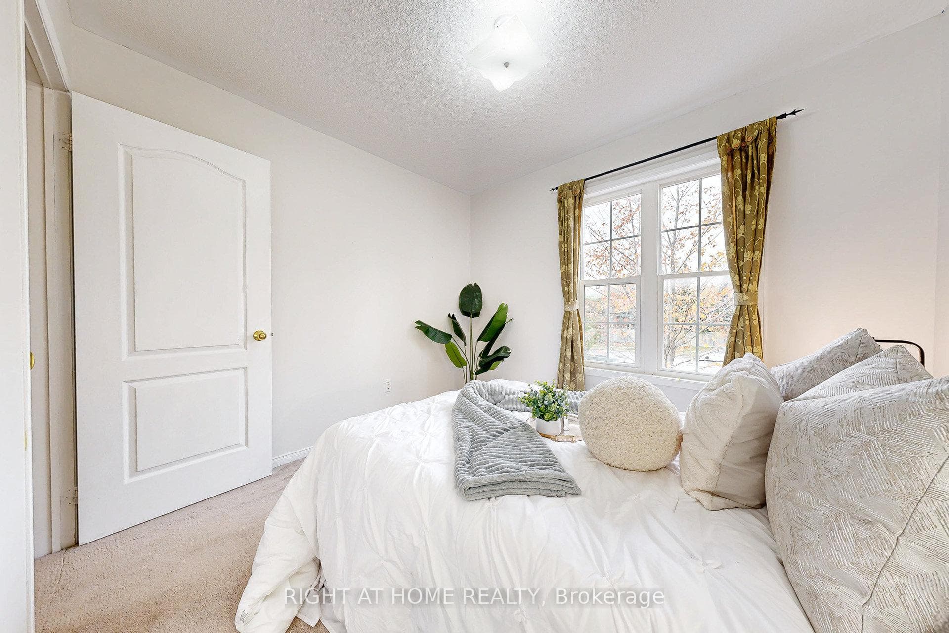10 Pascoe Drive photo 26