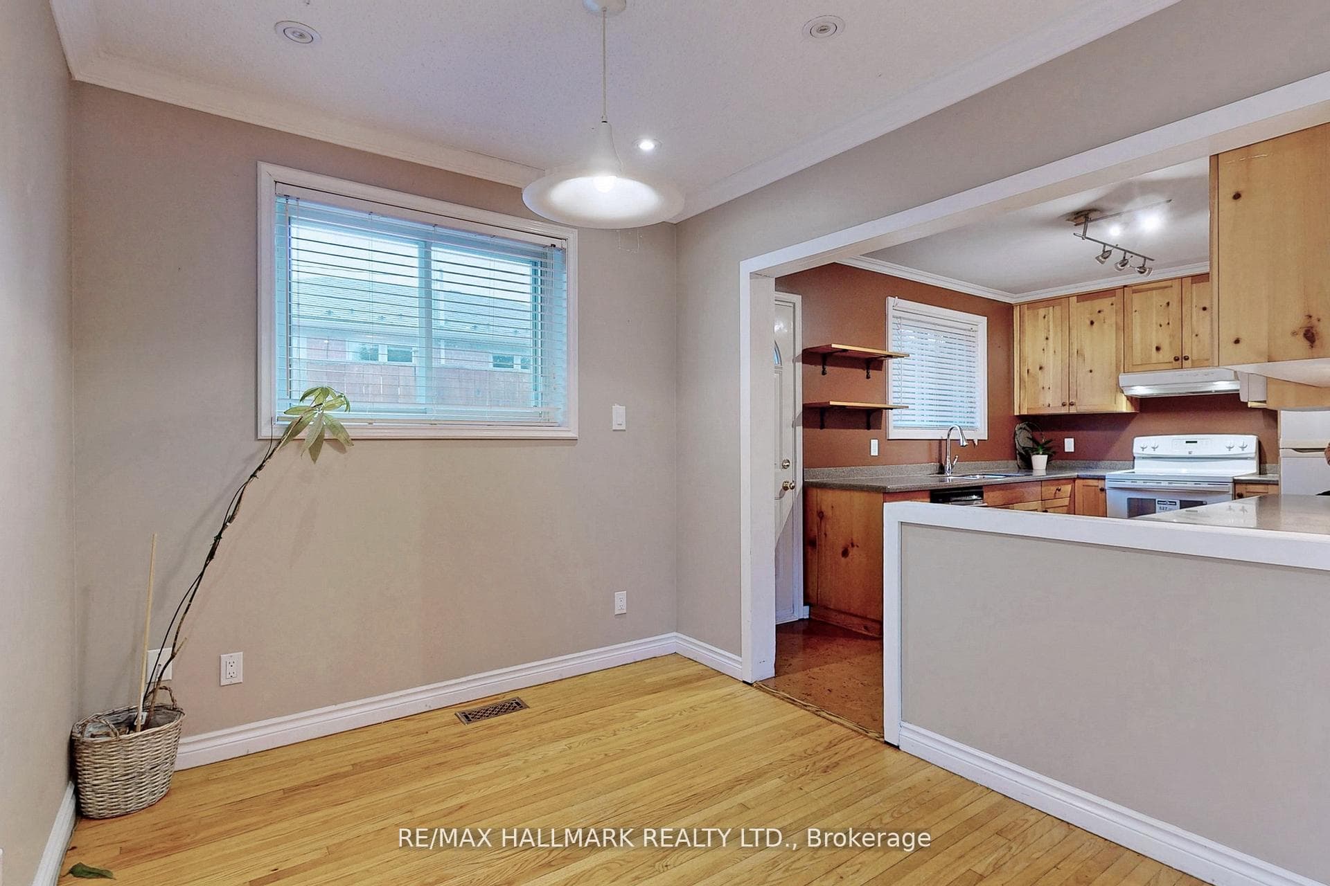 16 Knowles Crescent photo 5
