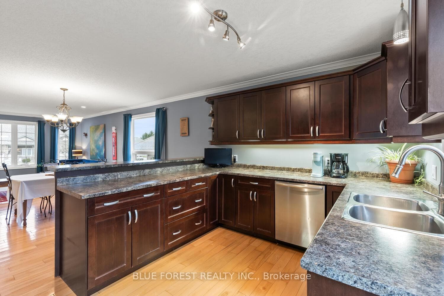 123 Watson Street photo 15