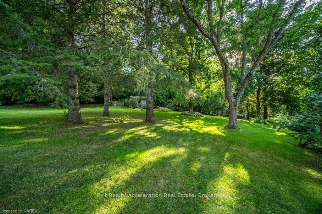 42 EDGEWOOD Drive photo 38