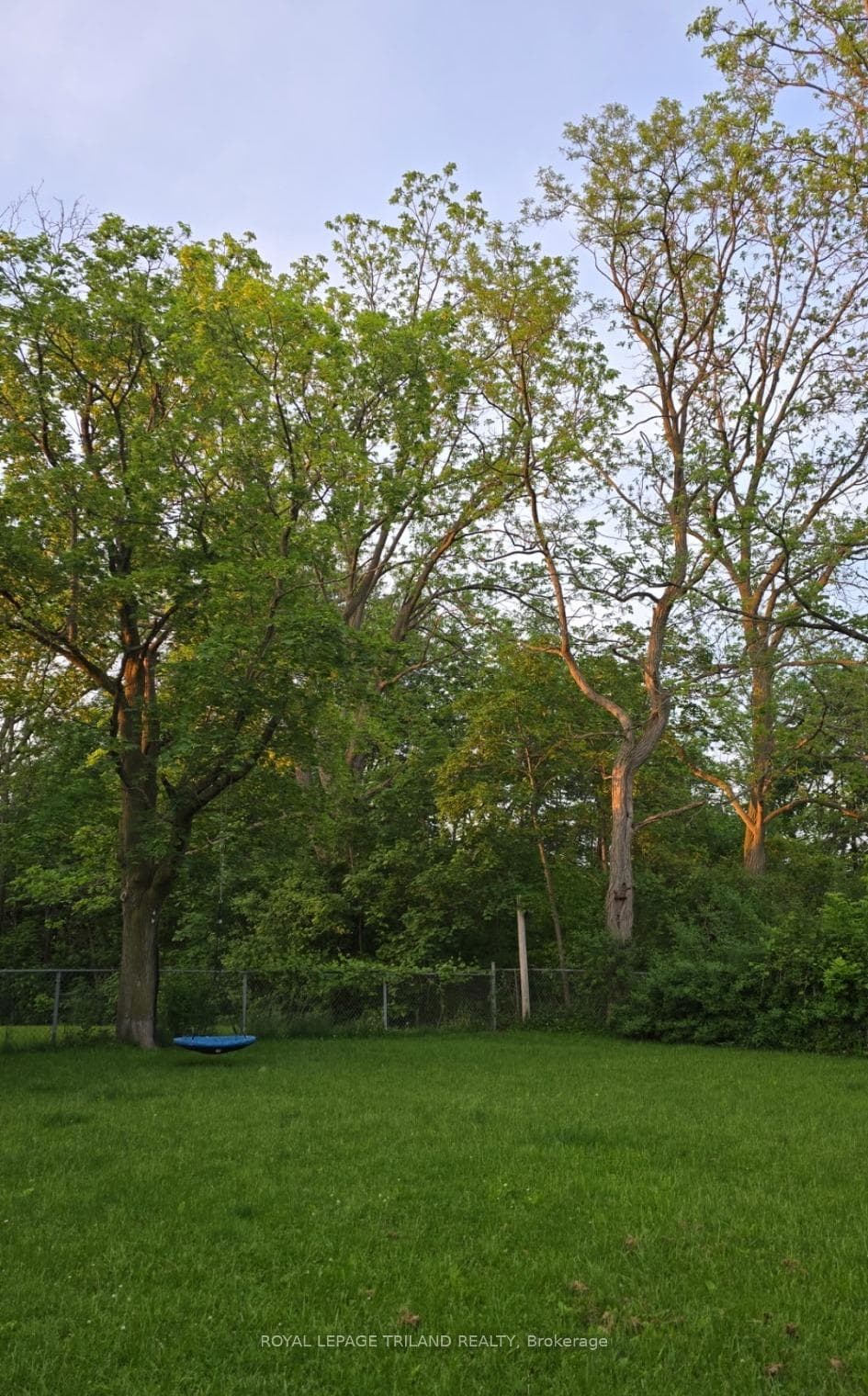 18 Simcoe Street photo 27