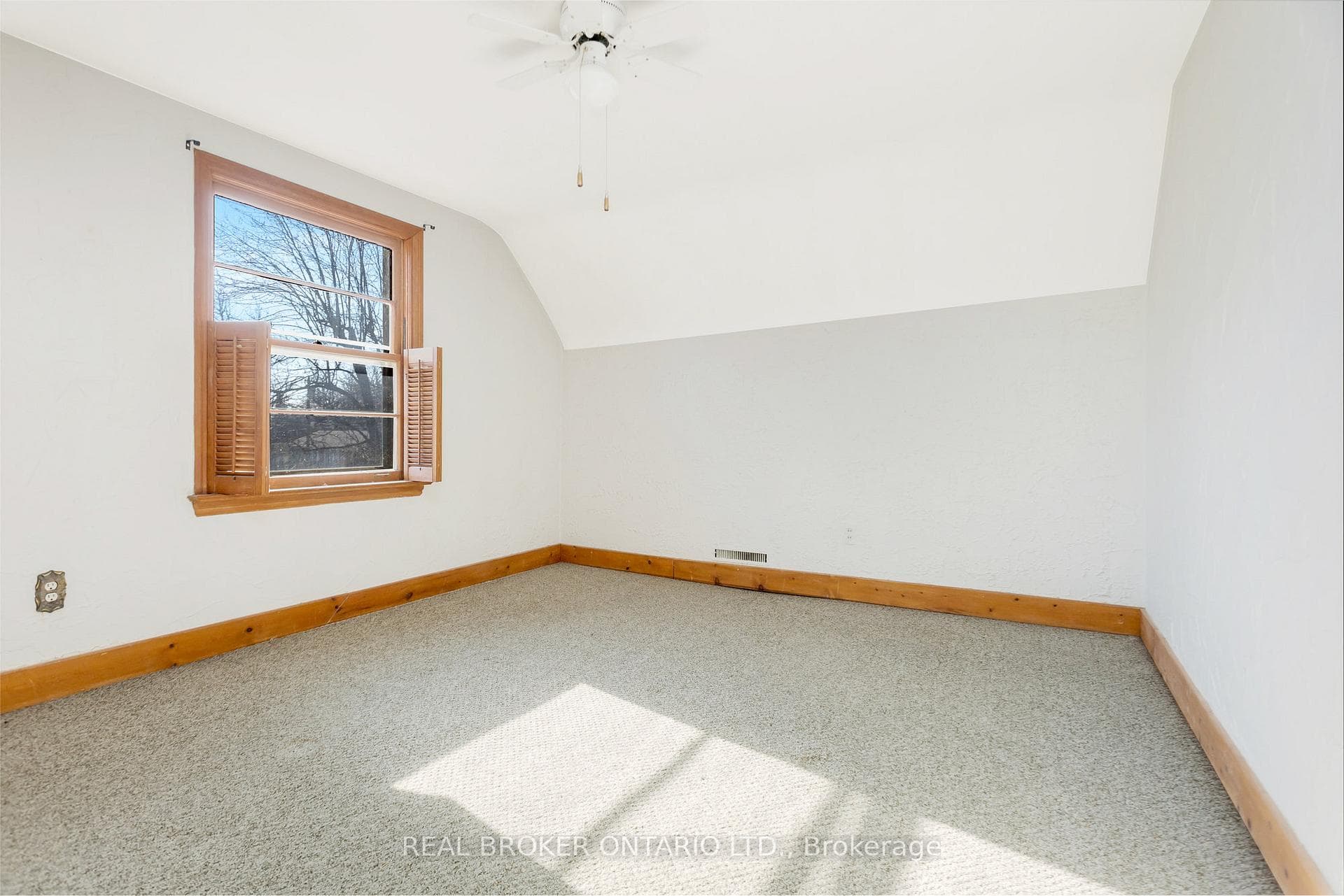 14 Orchard Boulevard photo 23