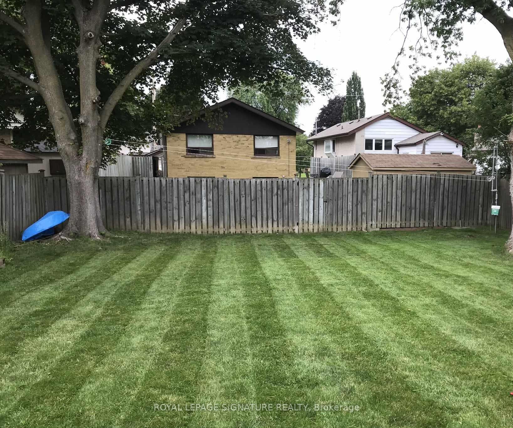 Summer backyard