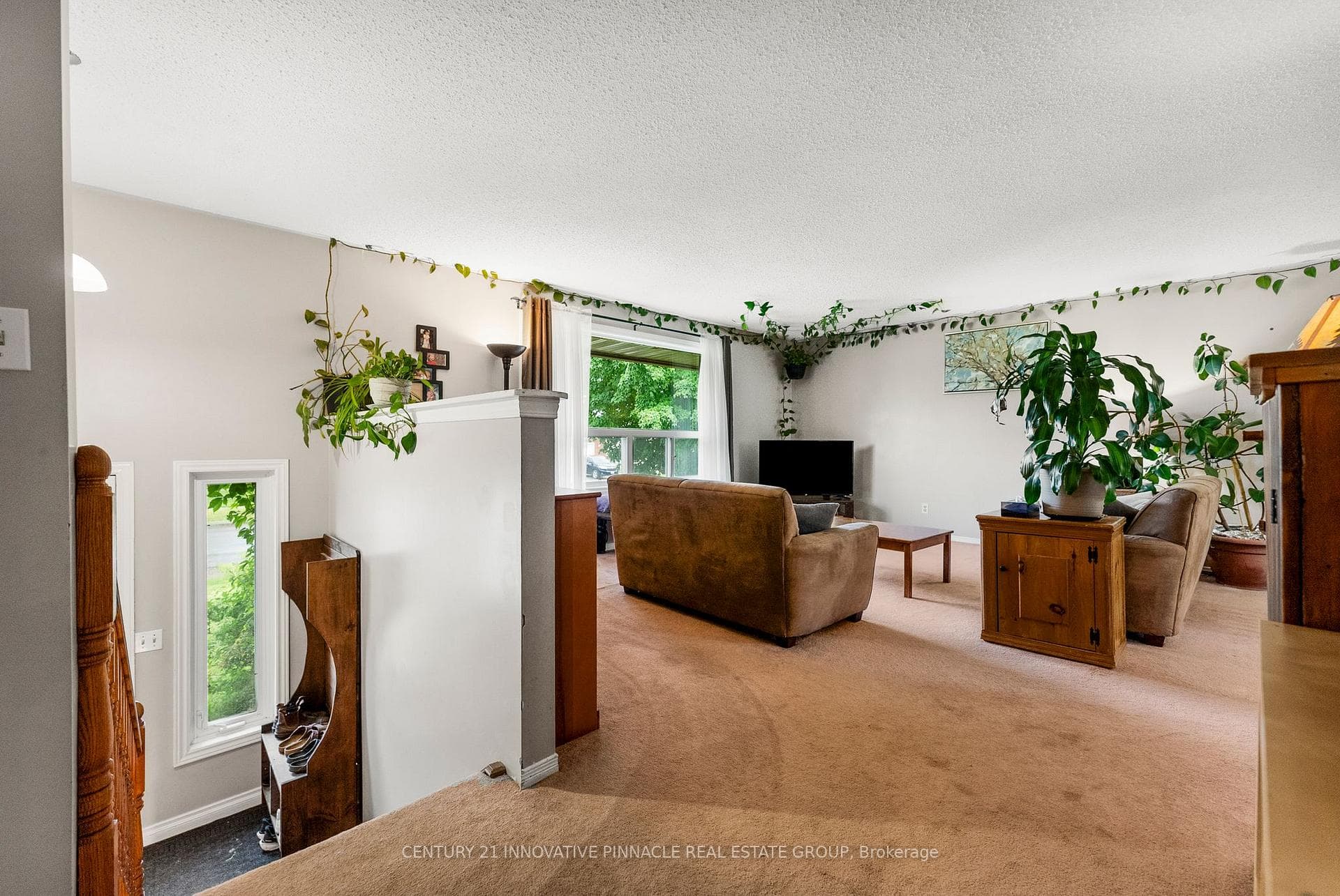 594 Herbert Street photo 10