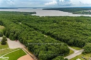 Treed Lots/Outer Harbour