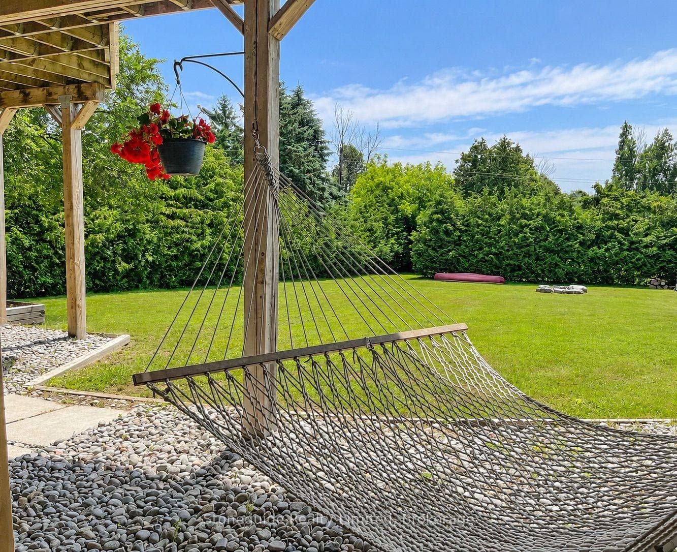Relax in Hammock