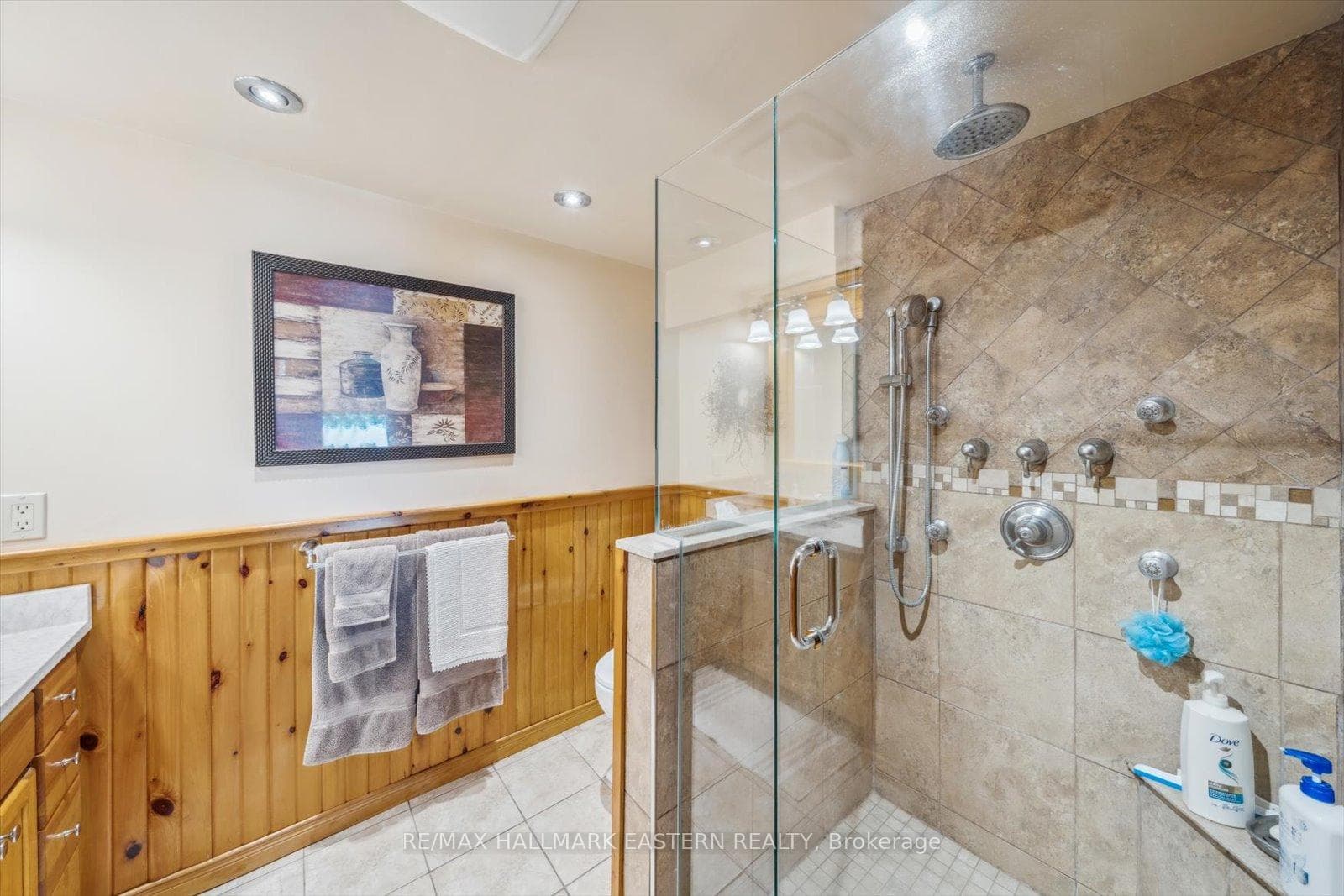 Lower level Bathroom
