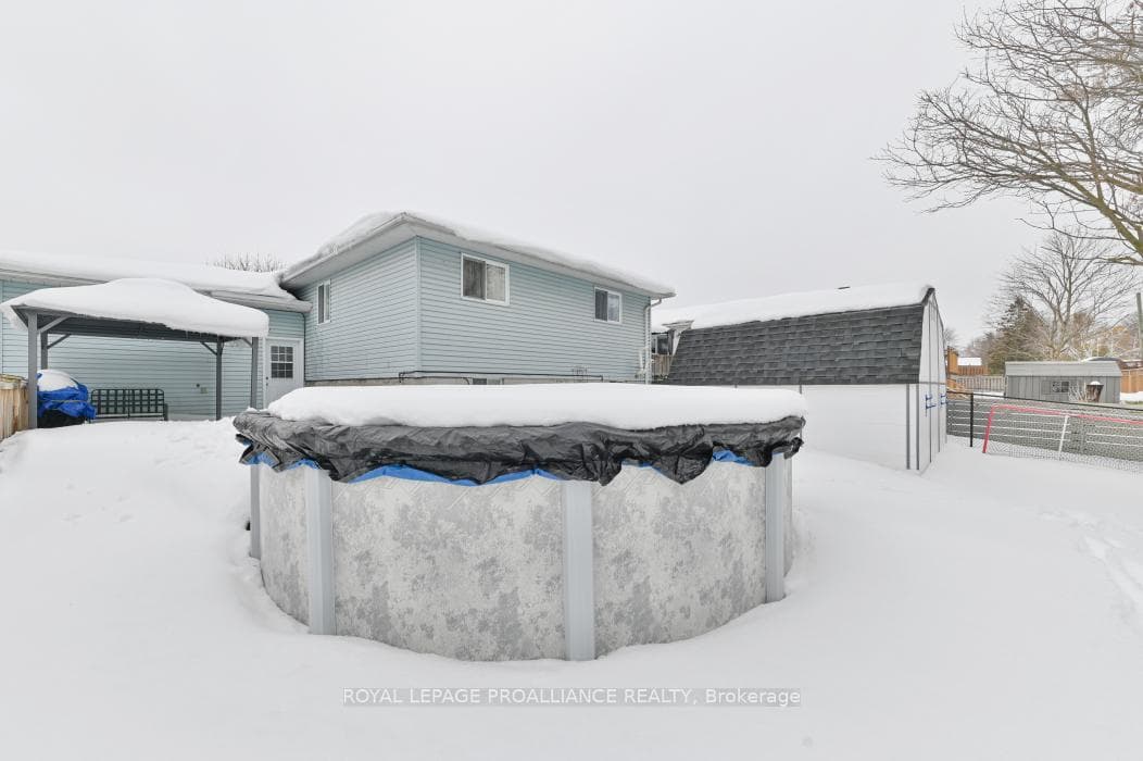 21 Robert Drive photo 35